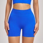 Processing Custom Seamless High Waist Yoga Shorts Summer Tight Hip-lifting Sports Running Quick-drying Fitness Pants - 画像 (5)